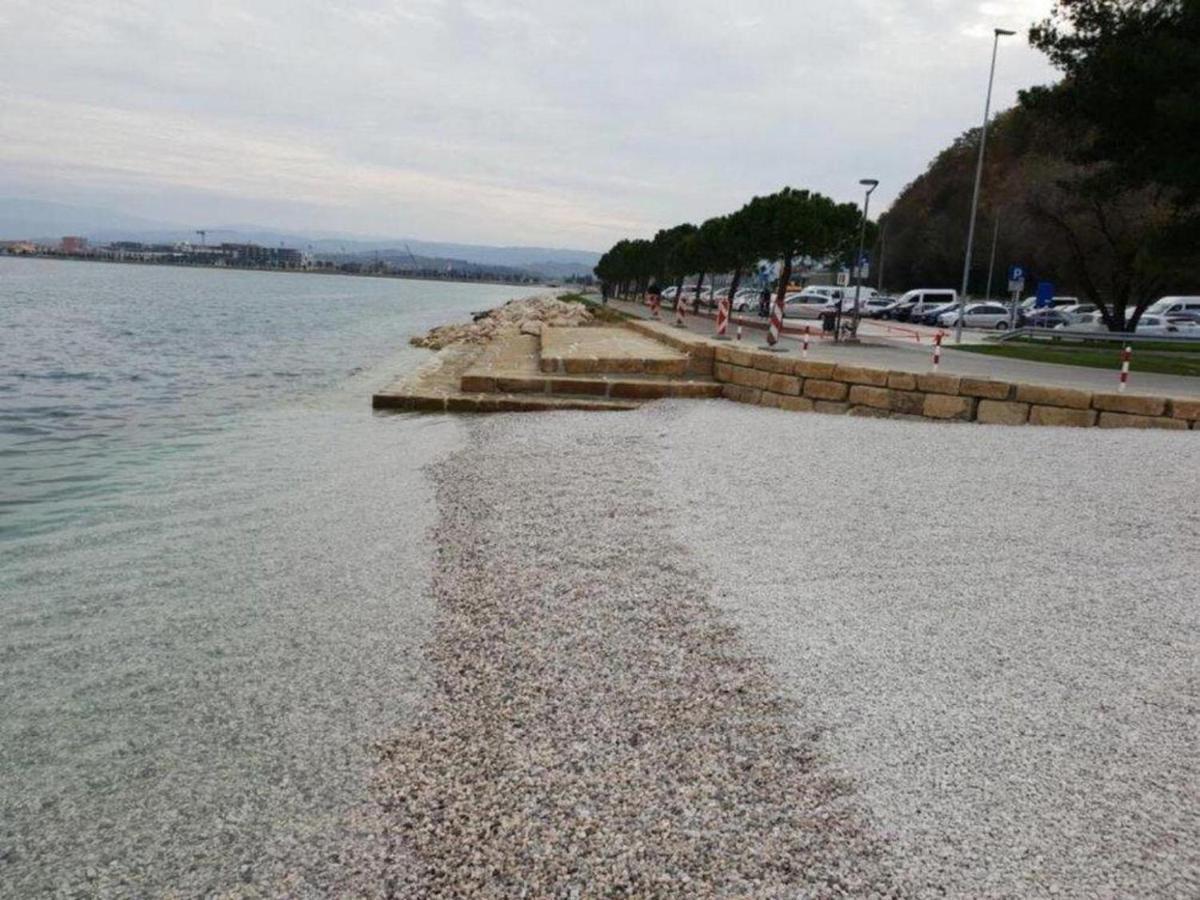 Casa Da Ponte Lägenhet Koper Exteriör bild